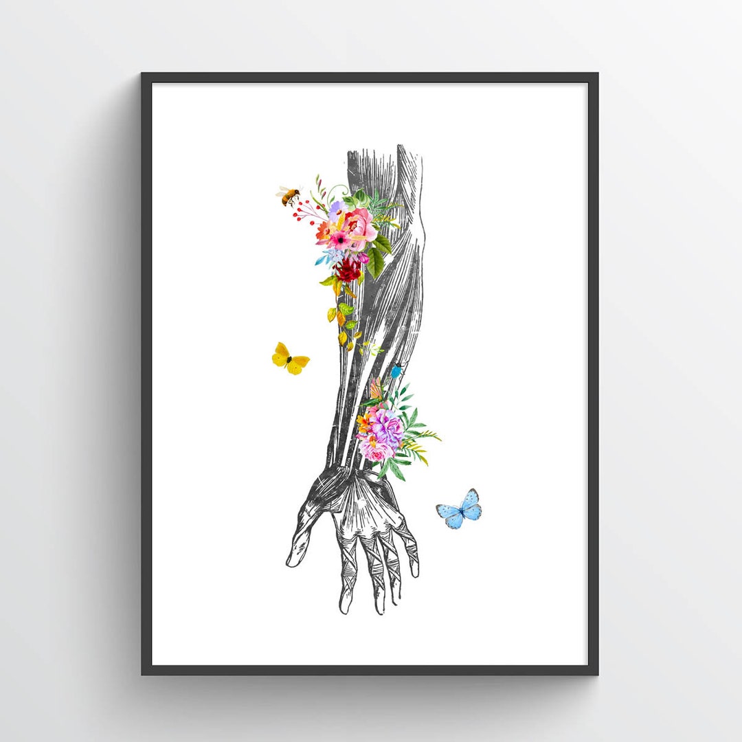 Forearm Anatomy Flower Print, Massage Therapist, Chiropractor Gift ...