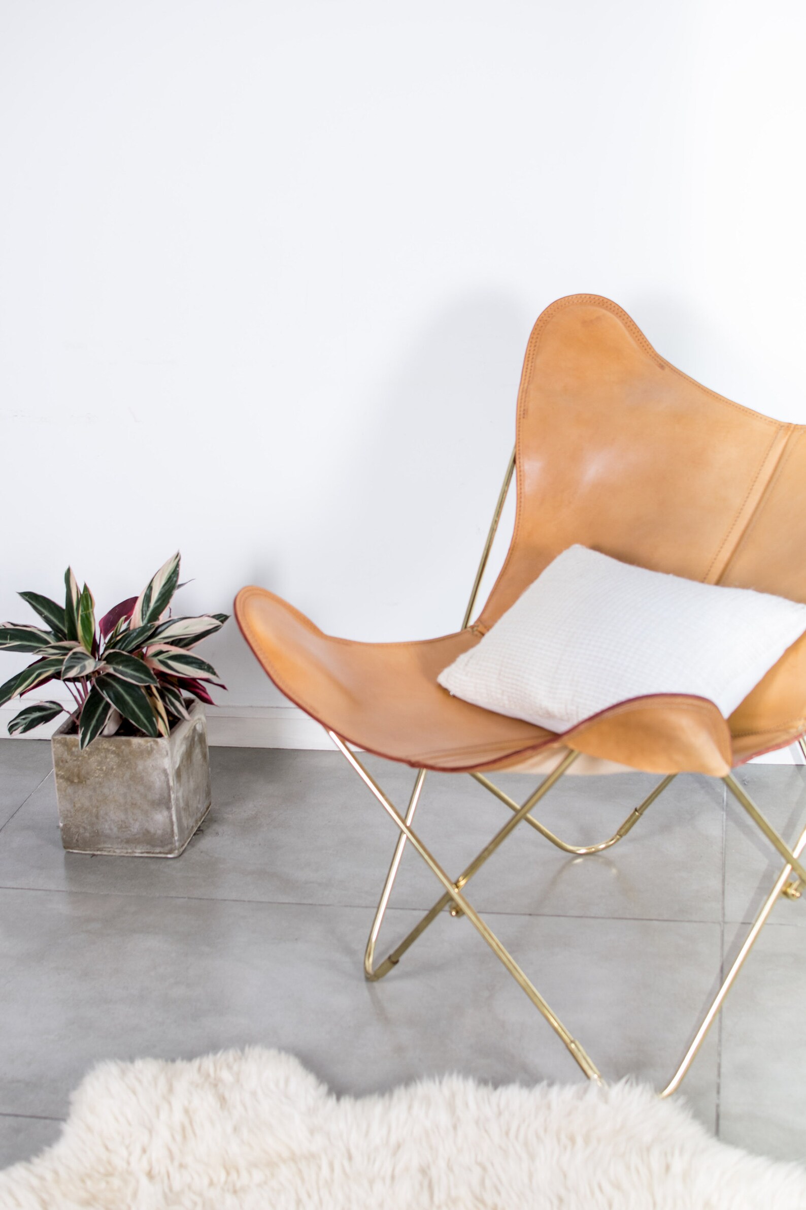 Butterfly chair frame only. 5 Different options Black Chrome Etsy