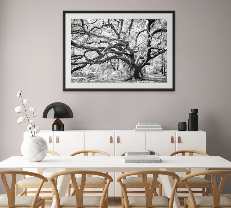 BLACK AND WHITE Oak Tree Print Wall Art From New Orleans, Louisiana