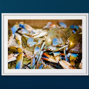 LOUISIANA BLUE CRAB | New Orleans Print, Wall Art from New Orleans, Seafood, Photography Print