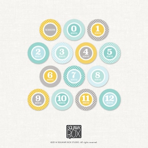 Può includere: Un set di 12 adesivi per le tappe del bambino con uno schema di colori giallo, grigio e blu. Gli adesivi presentano i numeri da 0 a 12 con la parola "mesi" sotto ogni numero. Il primo adesivo dice "neonata".