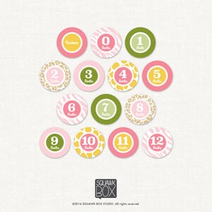 Può includere: Dodici adesivi per tappe di crescita del bambino di colore rosa, giallo e verde con disegni a stampa animalier. Ogni adesivo presenta un numero da 0 a 12, che rappresenta i mesi, con il testo "Mesi" sotto ogni numero.