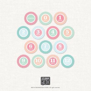 Può includere: Un set di 13 adesivi rotondi per le tappe del bambino con motivi a pois e a righe rosa, blu e verdi. Gli adesivi presentano i numeri da 0 a 12 e la parola "NEWBORN".
