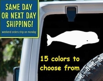 BELUGA WHALE Sticker Decal Car Window MacBook iPad Laptop Water Bottle Tablet Wall 6 Year Rated Exterior Indoor Vinyl
