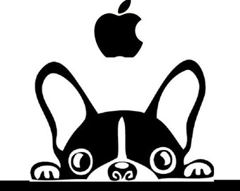 Peeking FRENCH BULLDOG Sticker Decal Car Window MacBook iPad Laptop Water Bottle Tablet Wall 6 Year Rated Exterior Indoor Vinyl