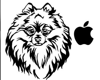 Certified Pomeranian L290 Dog Sticker 6/" decal