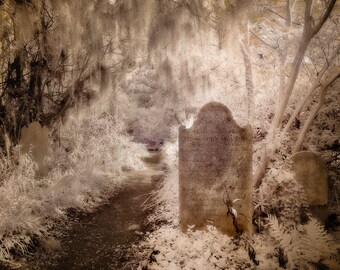 Unitarian Cemetery #2, Charleston, South Carolina