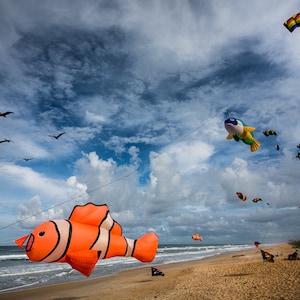 Kites, Palm Coast, Florida image 1