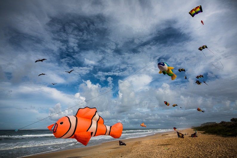 Kites, Palm Coast, Florida image 1
