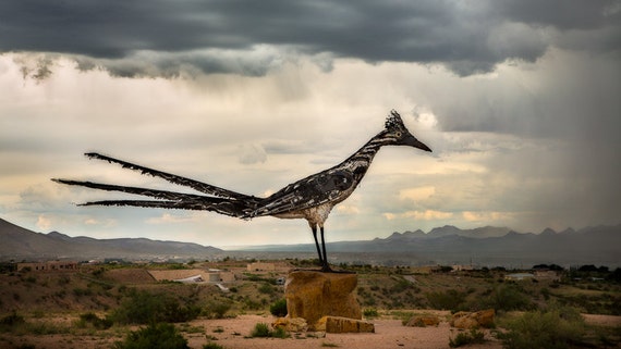 Roadrunner Las Cruces New Mexico Etsy