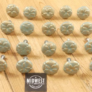 20 Sand Dollar Shell Pulls With Attaching Screws Handles Cabinet Drawer Nautical Ocean Sea Bathroom Kitchen Home - By Midwest Craft House