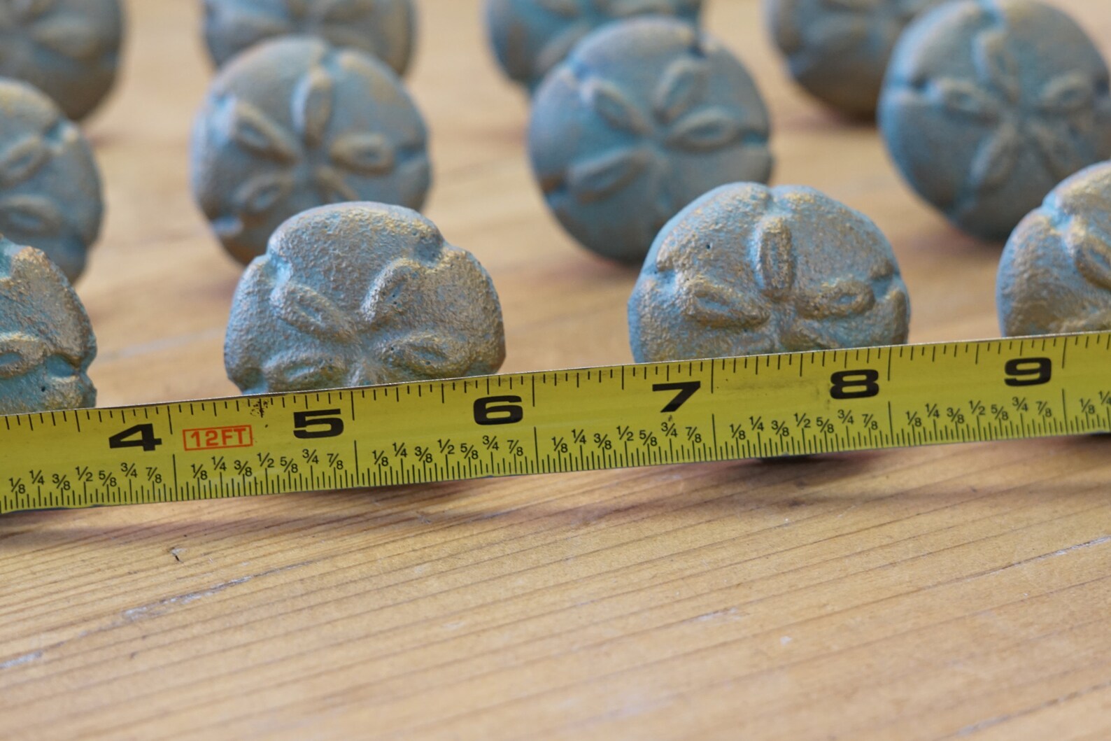 20 Sand Dollar Shell Pulls With Attaching Screws Handles - Etsy