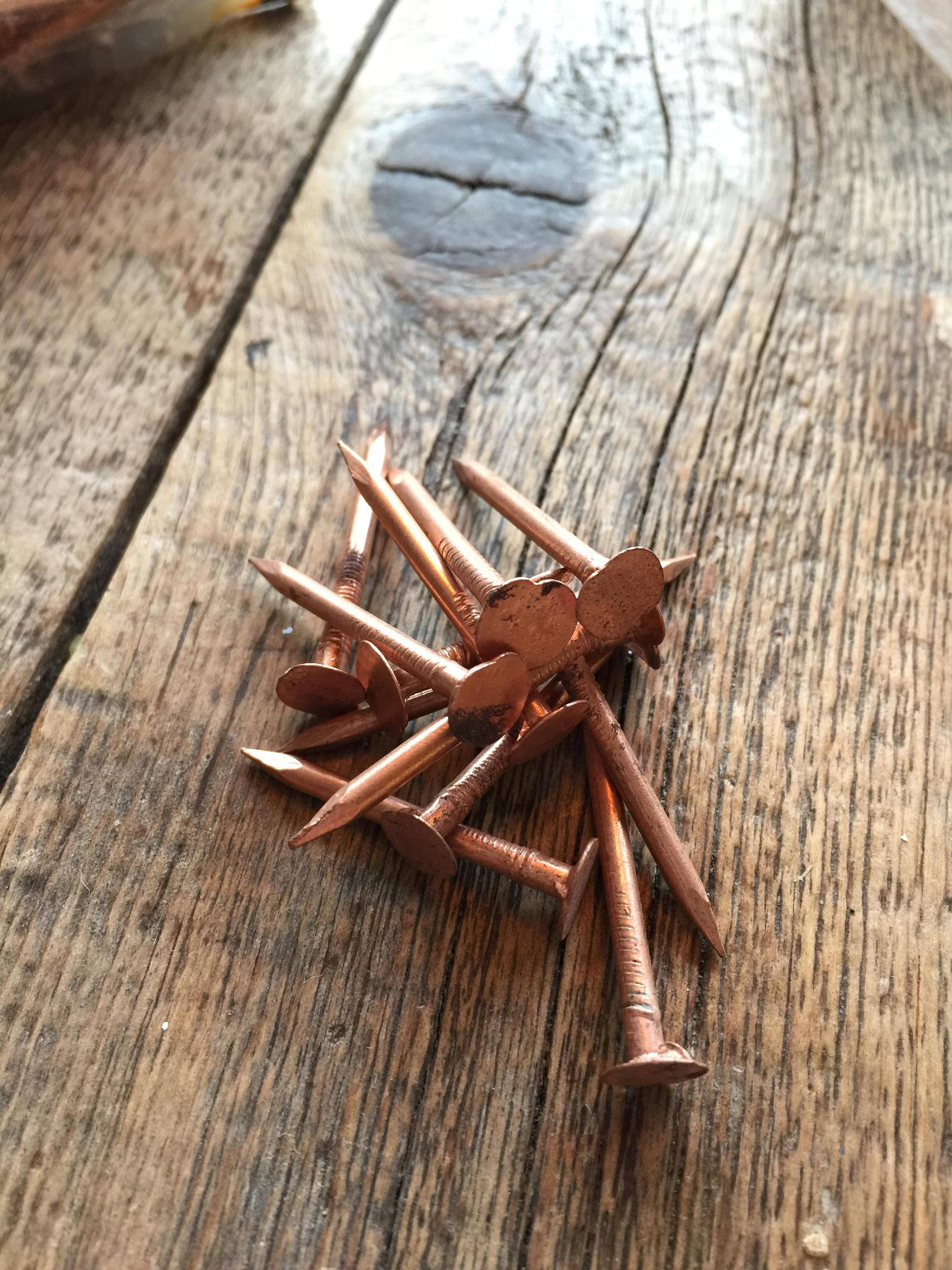 Copper nails copper brads roofing nails arts and crafts Etsy