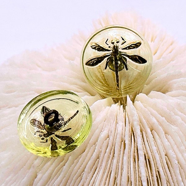 Green Gold Dragonfly Vaseline Czech Glass Button Uranium Dragonfly Buttons 18mm (1 piece) 127V19