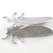 Silvered Antiqued Brass Stamped Cicada Insect Stamped Findings Brass Stamping Cicada Jewelry Supplies Brass Cicada 50mm (1 pc) 36VBRS