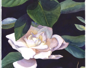 gardenia watercolor etsy