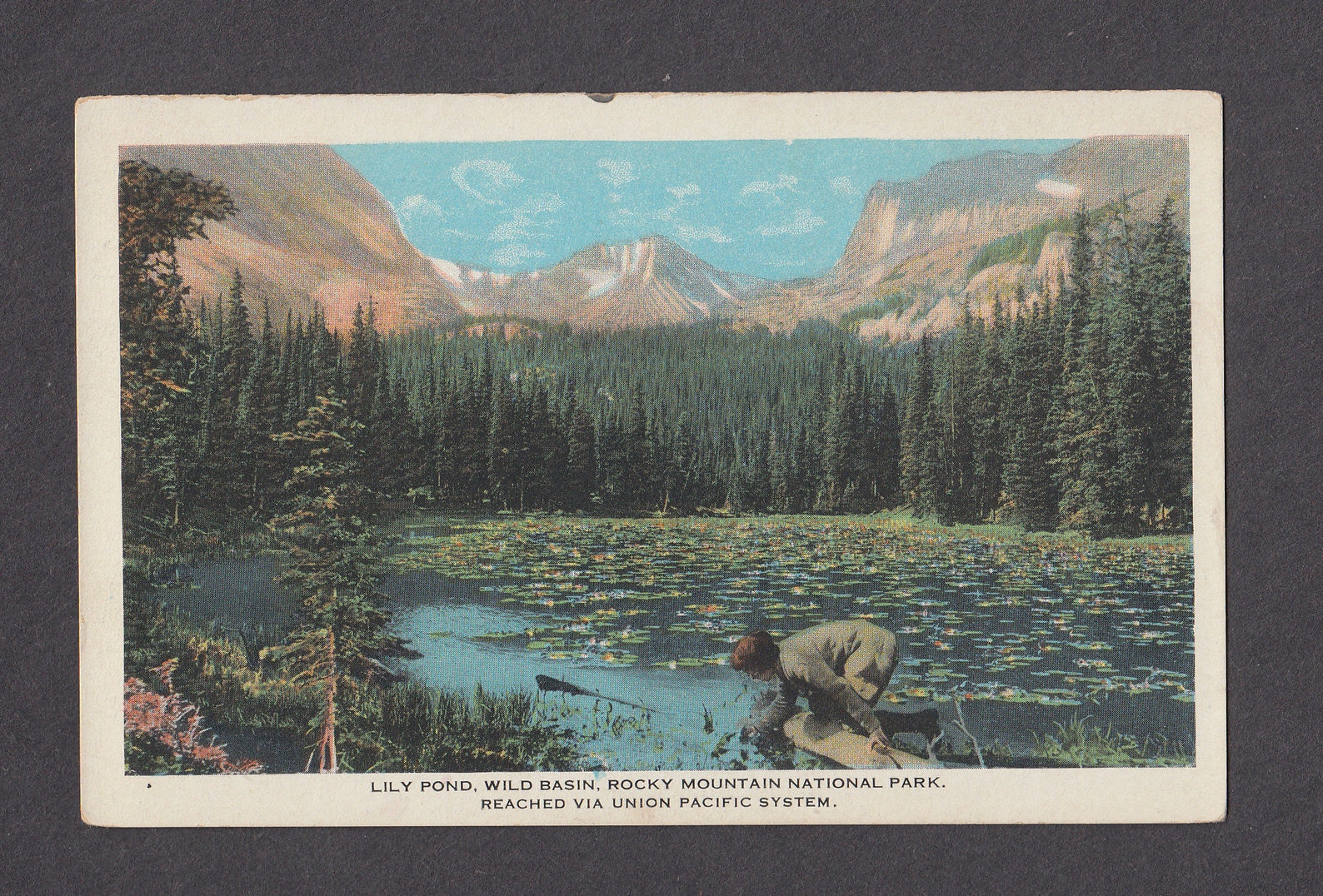 Rocky Mountain National Park Colorado Postcard c. 1920 | Etsy