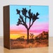 see more listings in the Light Boxes-Joshua Trees section