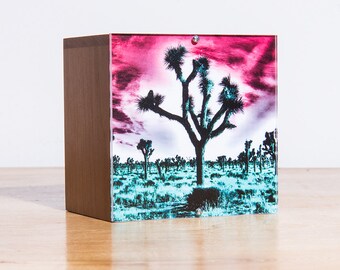 Desert Dreaming LED Photo Light