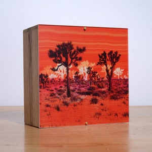 Desert Red LED Photo Light