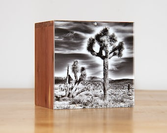 Glow LED Photo Light