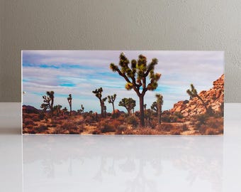 JT Landscape LED Photo Light