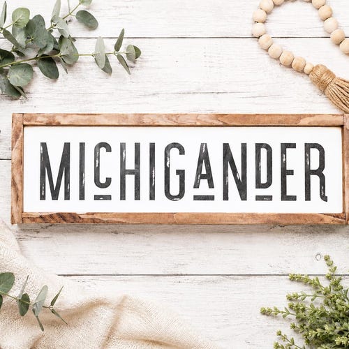 Michigander / Letrero estilo callejero / Estilo rústico desgastado / Decoración de pared de Michigan / 23.5" x 7.5"
