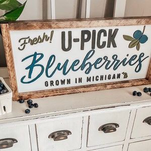 U-Pick Fresh Blueberries Grown In Michigan| Laser Cut Hand Painted | Framed Sign | Kitchen Sign | 3 D Cut out Words | 9.5" x 19.5"