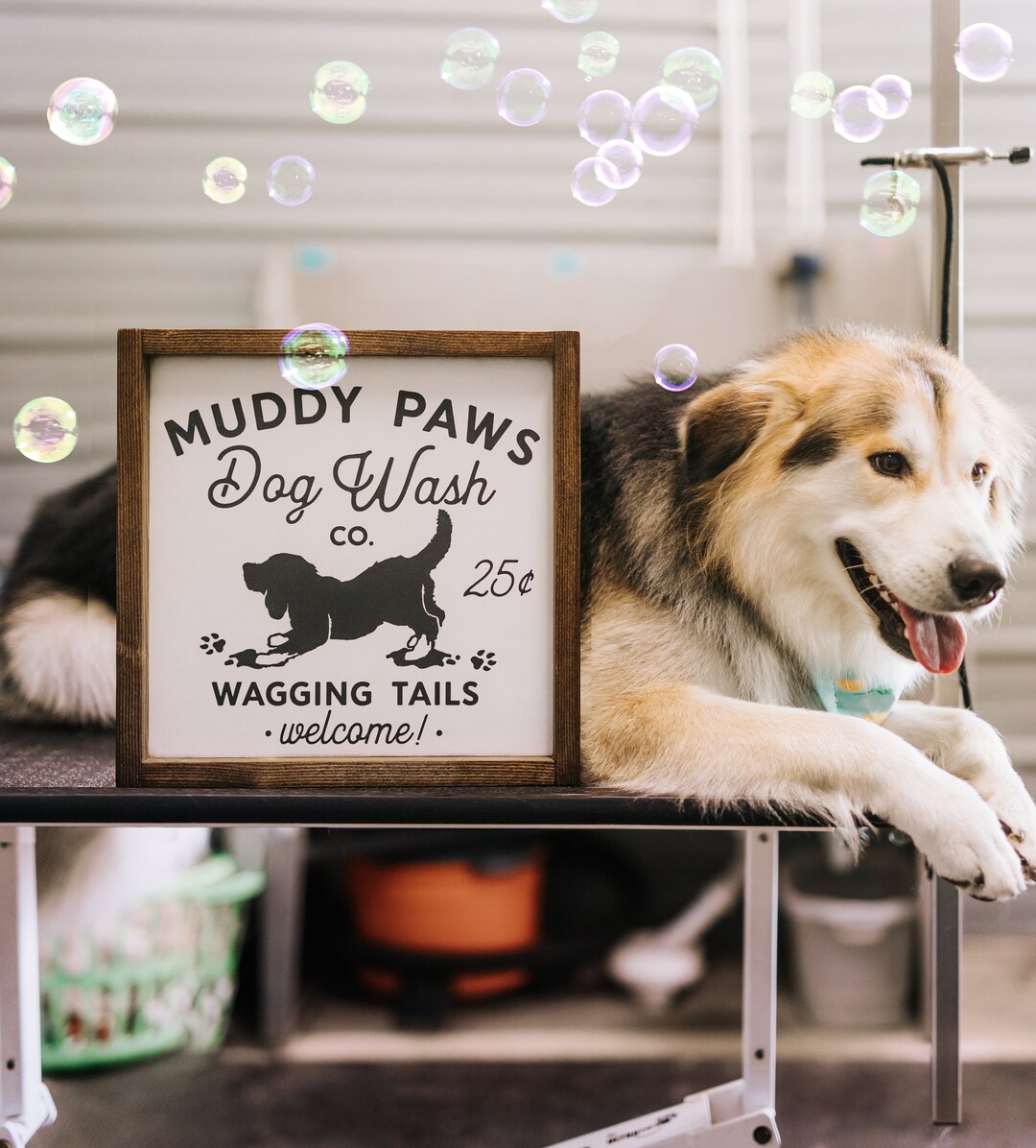 Muddy Paws Dog Wash Wood Framed Dog Gift Sign 13.5x13.5 Etsy