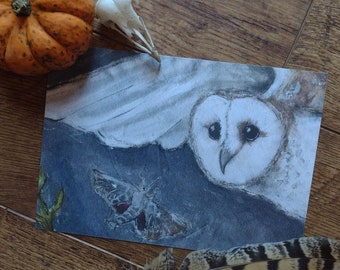 Barn Owl and Hawk Moth Print A5