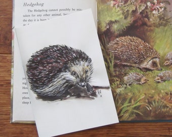 Hedgehog Postcard - Hedgehogs - Original Illustration - Wildlife Illustration - British Wildlife - Postcard