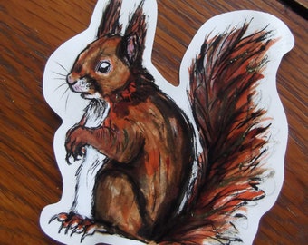 Red Squirrel Vinyl Sticker - Wildlife Illustration - British Wildlife - Stickers - Red Squirrel