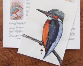 Kingfisher Postcard - Bird - Original Illustration - Wildlife Illustration - British Wildlife - Postcard