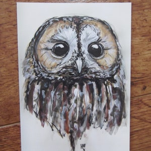 Tawny Owl Postcard Bird Original Illustration Wildlife Illustration British Wildlife Postcard Tawny Owl Owls image 3