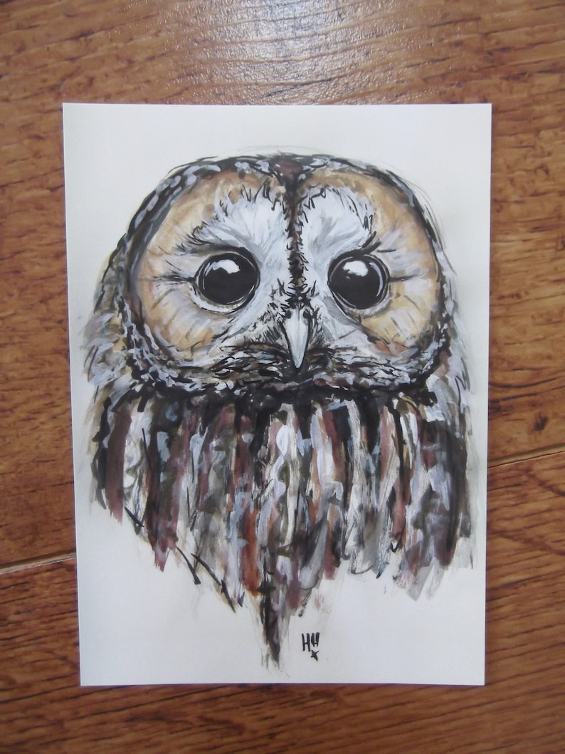 Tawny Owl Postcard Bird Original Illustration Wildlife Illustration British Wildlife Postcard Tawny Owl Owls image 3