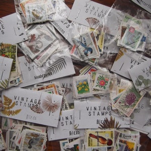 Pu&ograve; includere: Una collezione di francobolli vintage organizzati per tema, tra cui uccelli, funghi, farfalle e fiori. I francobolli sono esposti su carte bianche con le parole "Francobolli vintage" e il tema dei francobolli.