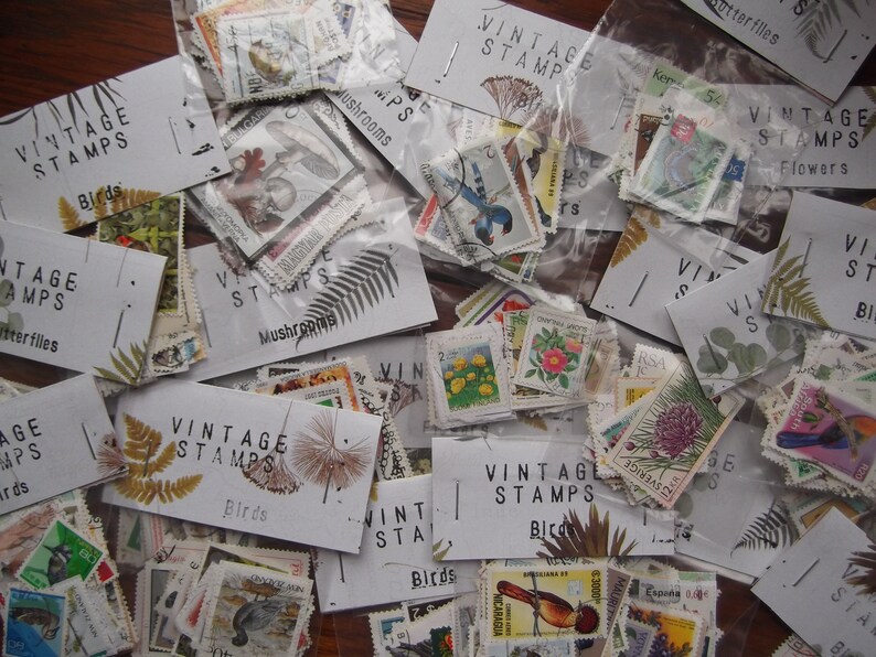 Pu&ograve; includere: Una collezione di francobolli vintage organizzati per tema, tra cui uccelli, funghi, farfalle e fiori. I francobolli sono esposti su carte bianche con le parole "Francobolli vintage" e il tema dei francobolli.
