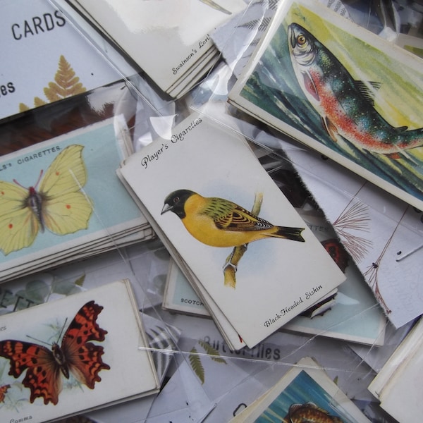 Vintage Cigarette Cards 10 Pack