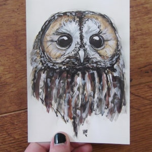 Tawny Owl Postcard Bird Original Illustration Wildlife Illustration British Wildlife Postcard Tawny Owl Owls image 2