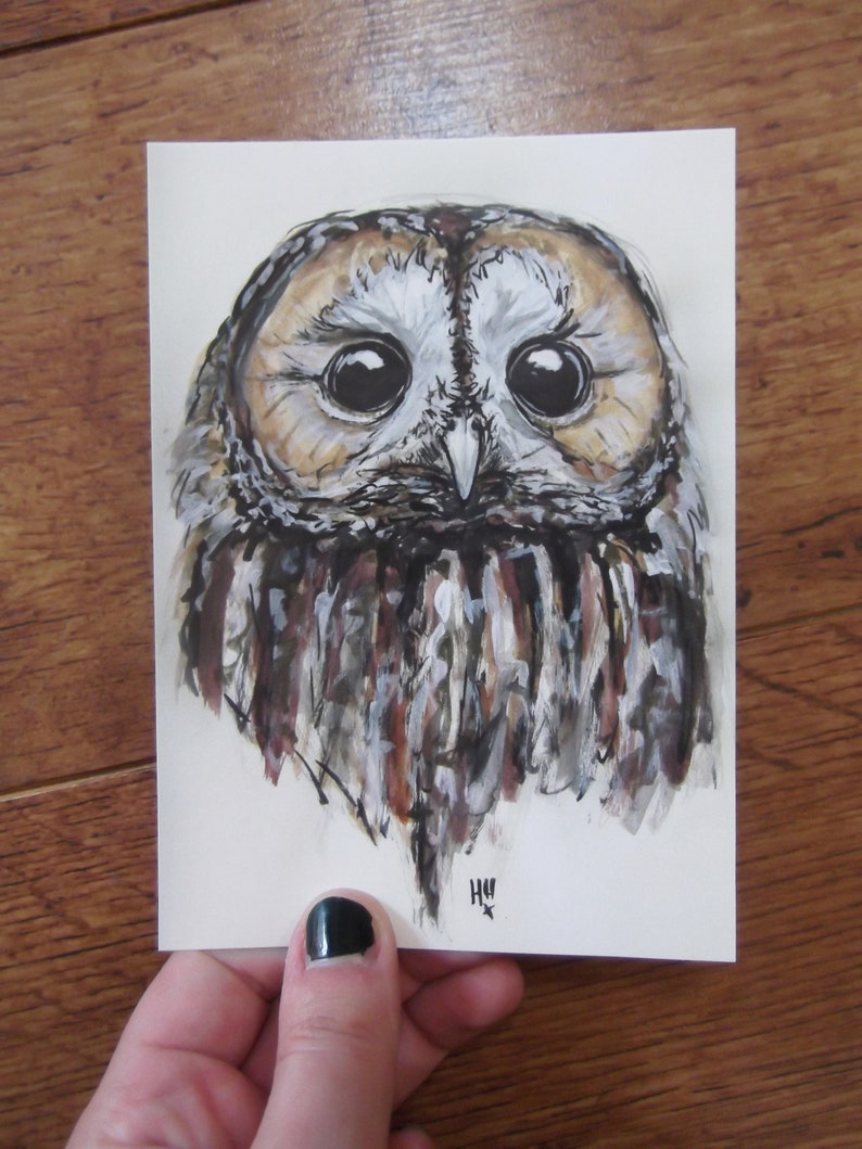 Tawny Owl Postcard Bird Original Illustration Wildlife Illustration British Wildlife Postcard Tawny Owl Owls image 2