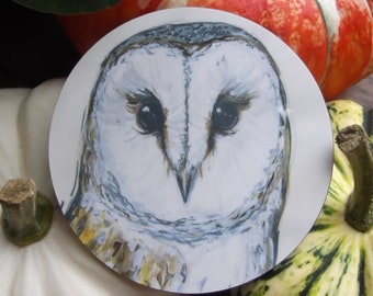 Barn Owl Coaster - Wildlife Illustration - British Wildlife - Coaster - Owls - Barn Owls