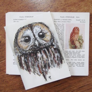 Tawny Owl Postcard Bird Original Illustration Wildlife Illustration British Wildlife Postcard Tawny Owl Owls image 1