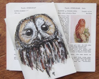 Tawny Owl Postcard - Bird - Original Illustration - Wildlife Illustration - British Wildlife - Postcard - Tawny Owl - Owls