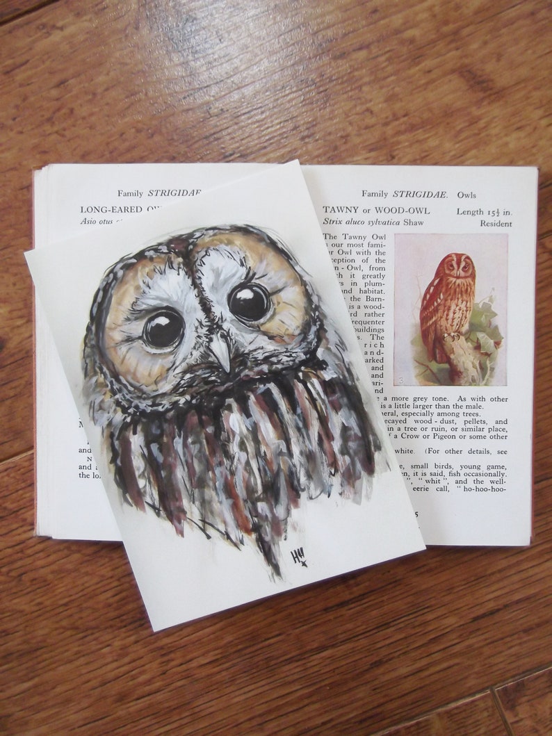 Tawny Owl Postcard Bird Original Illustration Wildlife Illustration British Wildlife Postcard Tawny Owl Owls image 1