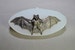 BAT  SILICONE MOLD sugarcraft polymer clay fimo resin embossing powder utee fondant icing mould 