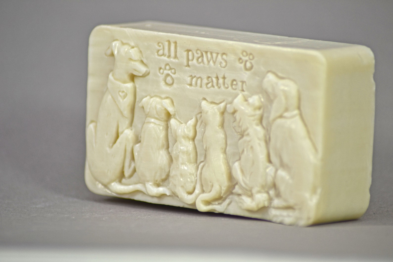 ALL PAWS MATTER Silicone Mold Soap Mould Plaster Clay Wax Etsy