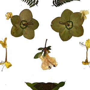 May include: A whimsical floral arrangement featuring pressed flowers and ferns, creating a smiling face. The flowers are in shades of green, yellow, and white.