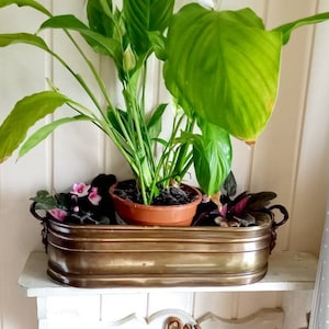 Può includere: Un vaso in ottone con un giglio della pace verde e piante fiorite rosa al suo interno. Il vaso è posto su uno scaffale bianco.