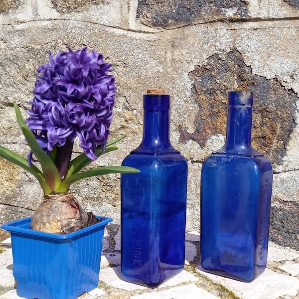 Paar Antike Medizin Flaschen Kobaltblau Glas Französische Apothekerflaschen Apotheker Gift Apothekerflasche Ausgrabung