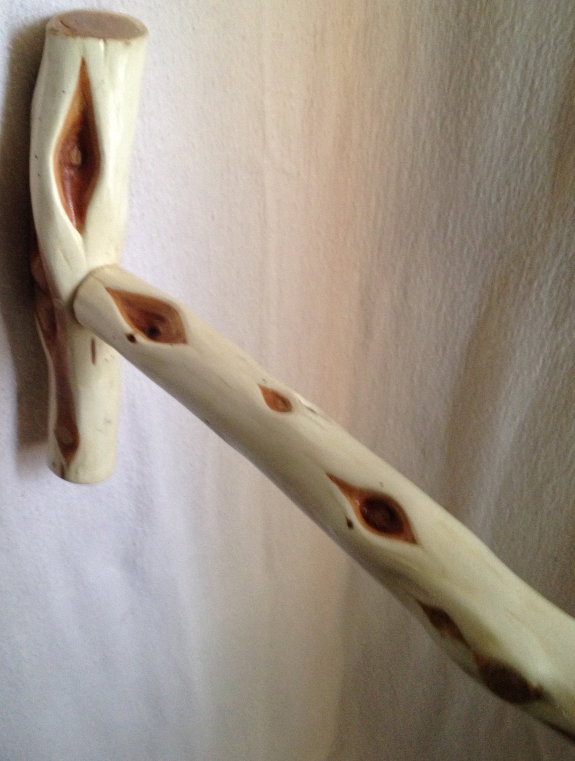 True Alaskan Diamond Willow Walking Cane Etsy